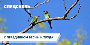С Днем Весны и Труда!