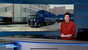 Вести ГТРК Мурман: Спецвязисты «эвакуировали» картины из краеведческого музея Мурманска